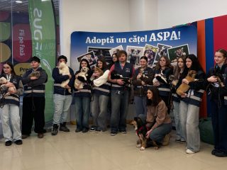 22 de cățeluși și-au găsit familie la Târgul de Adopții ASPA x Cupio
