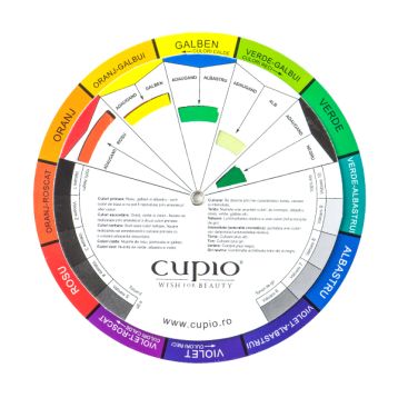 Color Wheel - Roata Culorilor