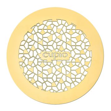Grila pentru aspirator incorporabil - Gold