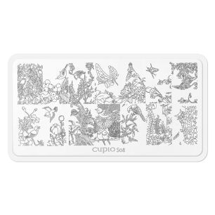 Matrita stampila Cupio S08
