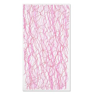Ornament de unghii Fuchsia Lace