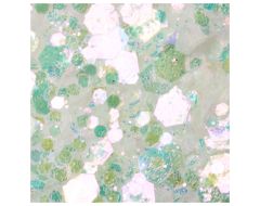 Paiete New Style #02