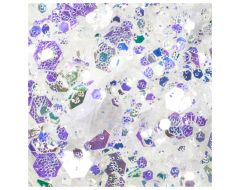 Paiete New Style #06