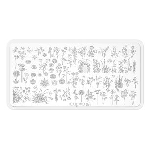 Matrita stampila Cupio S11